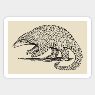 Pangolin Magnet